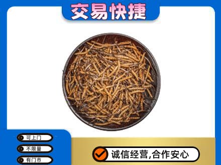 白城礼品回收虫草.jpg